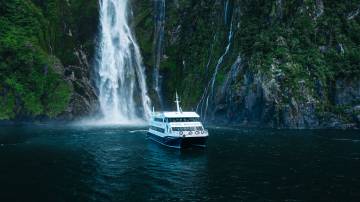Early Morning Milford Sound Cruise
