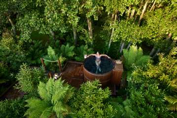 Forest Hot Tub Experience at Secret Spot Hot Tubs Rotorua