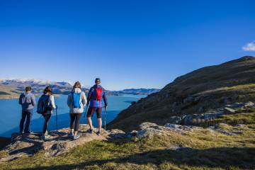 Full Day Guided Walk and Picnic on Banks Peninsula