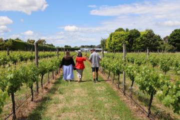 Full Day Wairarapa Winery  Tour