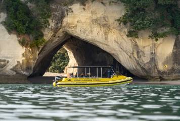 Full Monty Tour - Cathedral Cove Boat Tour