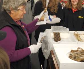 Guided Tour