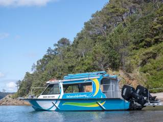 Half Day Cruise & Island Tour - Cruise, Snorkel, Paddleboard, Hike, Explore!