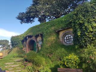 Hobbiton & Waitomo Caves Tour ONE WAY - Auckland and Rotorua
