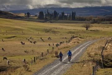 iBike Hire Dunedin – E-Bike & Bicycle Rental