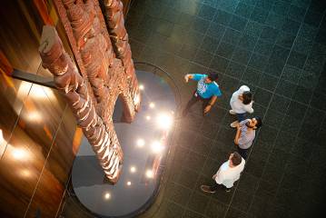 Introducing Te Papa Tour