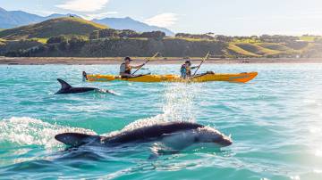 Kaikoura - with kayaking experience