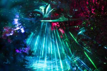 Te Puia - Mārama: Geyser Light Trail