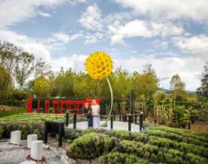 Matakana Village Wine & Art Private Tour