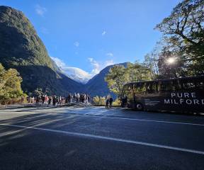 Milford Sound Classic Coach & Cruise from Queenstown
