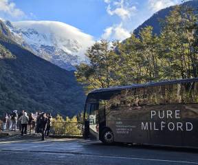 Milford Sound Classic Coach & Cruise from Te Anau