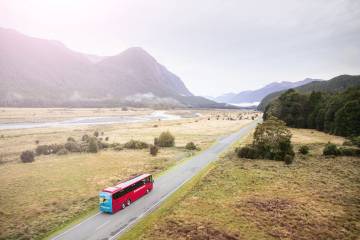 Milford Sound Coach & Nature Cruise Day Trip