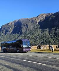 Milford Sound Early Bird Coach & Cruise from Queenstown