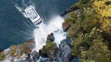 Milford Sound Nature and Wildlife Cruise New Zealand