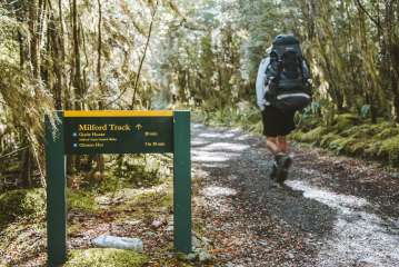 Milford Track Day Walk - Lake Te Anau
