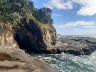 Muriwai Beach & Wine Tasting Private Tour