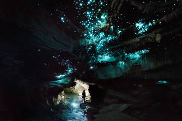 Off the Beaten Track - Eco Glowworm Cave Tour