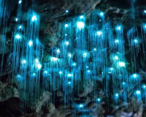 Private 2 Day Tour: Hobbiton, Waitomo Caves, Rotorua Geothermal Valley & Hamilton Gardens