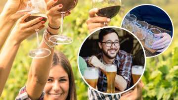 Queenstown Wine, Beer and Gin Tour | Adults Only - Departs Queenstown Daily (3pm to 6:30pm)