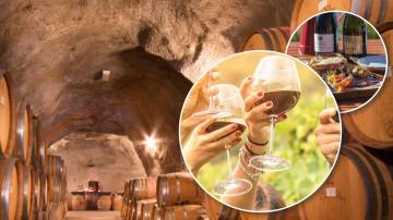 Queenstown Wine Tour with Wine Dog | Adults Only - Departs Queenstown Daily (10am to 3pm)