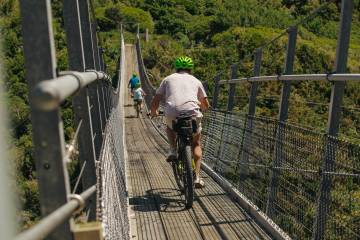 Remutaka Rail Trail Mountain Bike Explorer Day Trip