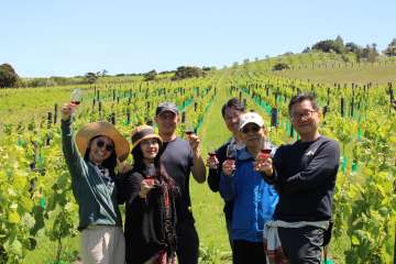 Scenic Wine and Dine tour - Small Group