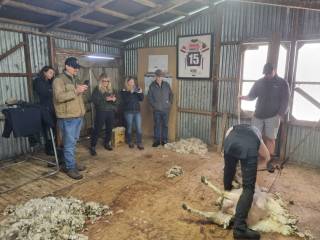 Sheep & Beef Working Farm Private Tour (Operating 1 st Oct till 30th April)