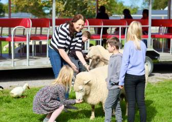 Guided Farm Tour Rotorua