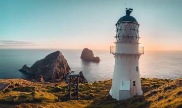 Tiritiri Matangi Island Private Tour
