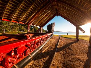 Waitangi Admission Pass