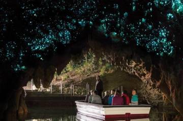 Waitomo Glow Worm Caves & Rotorua Geotherml Valley