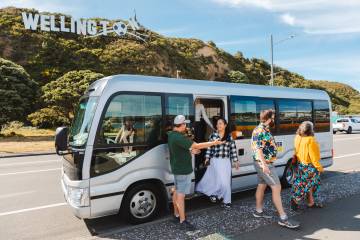 Wellington: Guided City Tour with Cable Car Ticket