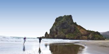 Wilderness Experience beach & rainforest tour