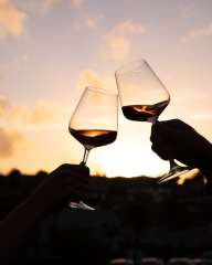 Wine Tasting (5 Selected wines)