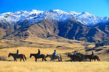 The High Country Pub Trail Horse Trek