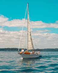 Vigilant Yacht Charters - Day Sailing Bay of Islands