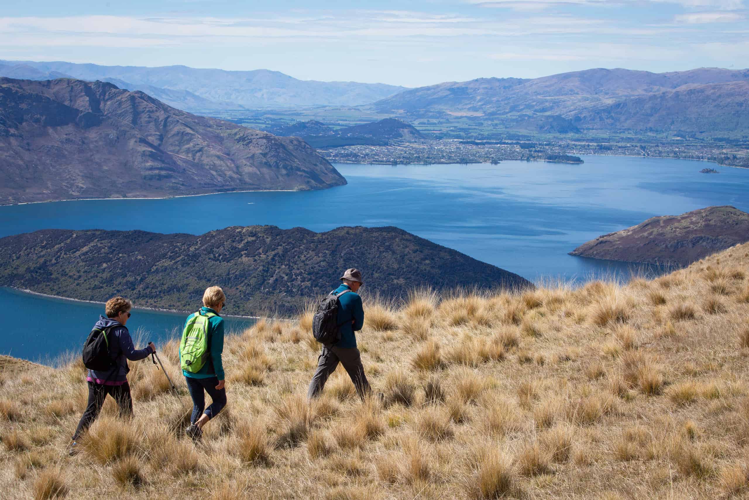 Wanaka High Country Walk See and Do New Zealand