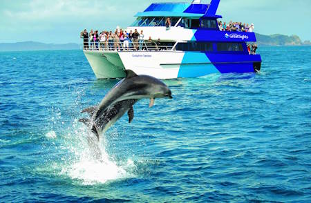 Cruises, Sailing, Boating and Water Tours