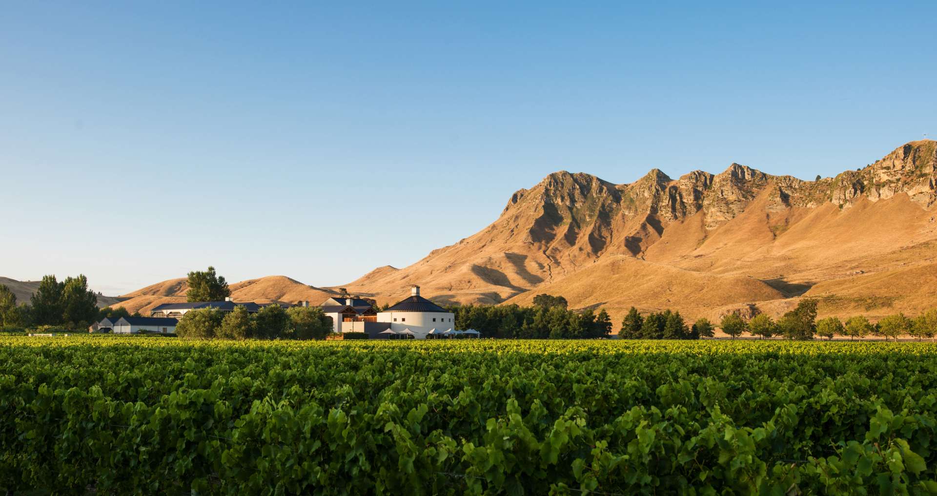 Craggy Range and Te Mata Peak