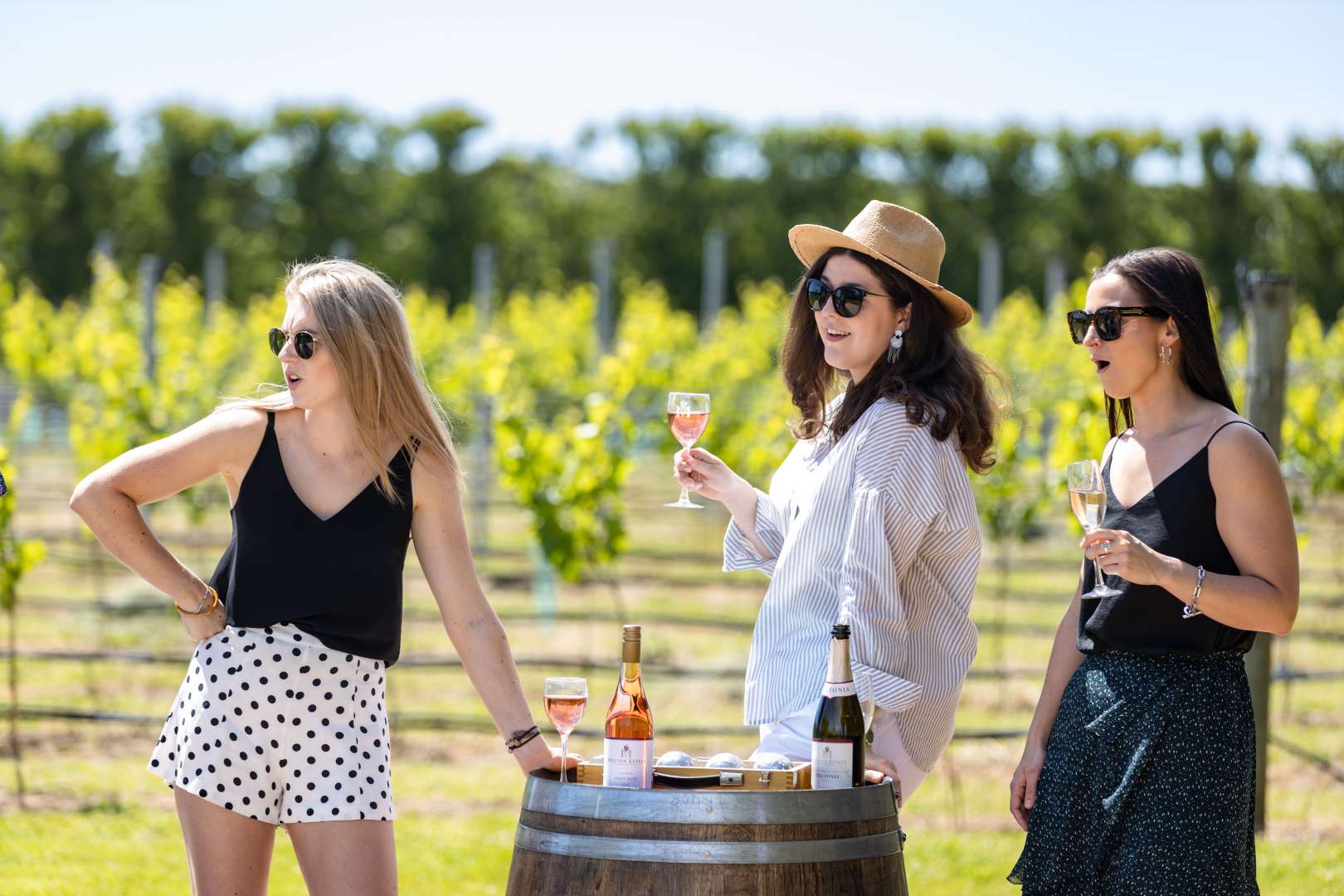 Wine Tasting at Melton Estate