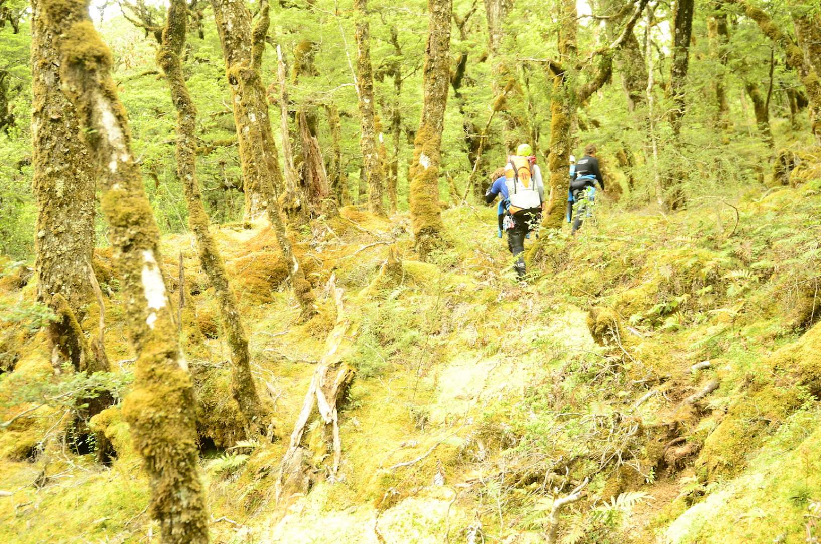 Activity Located in the Mt Aspiring National Park a UNESCO World Heritage Site