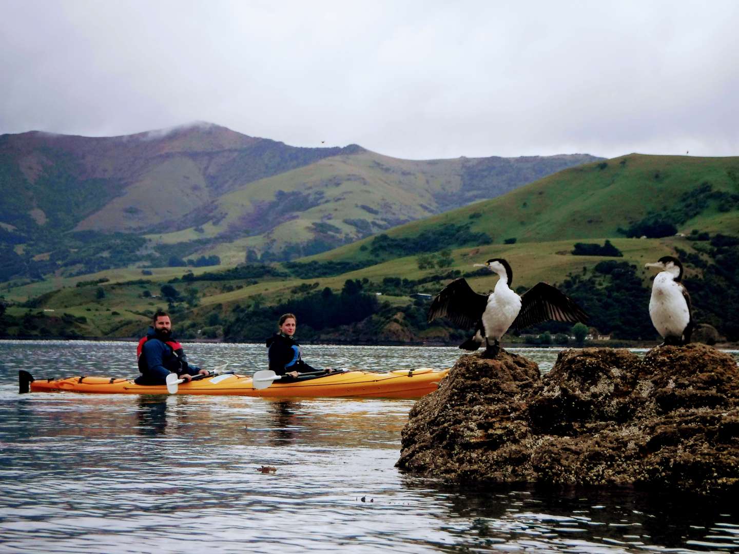 Akaroa kayaking