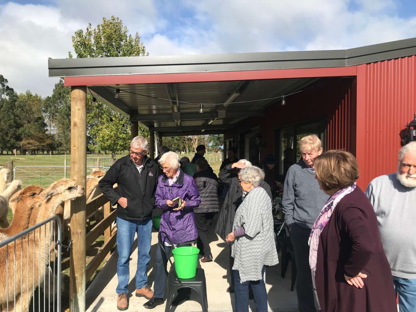 Alpaca Farm Activity Family Attraction