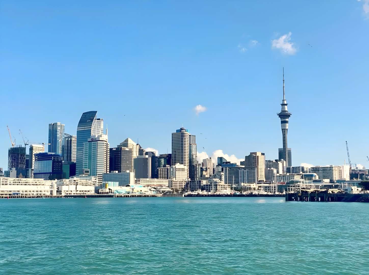 Auckland City