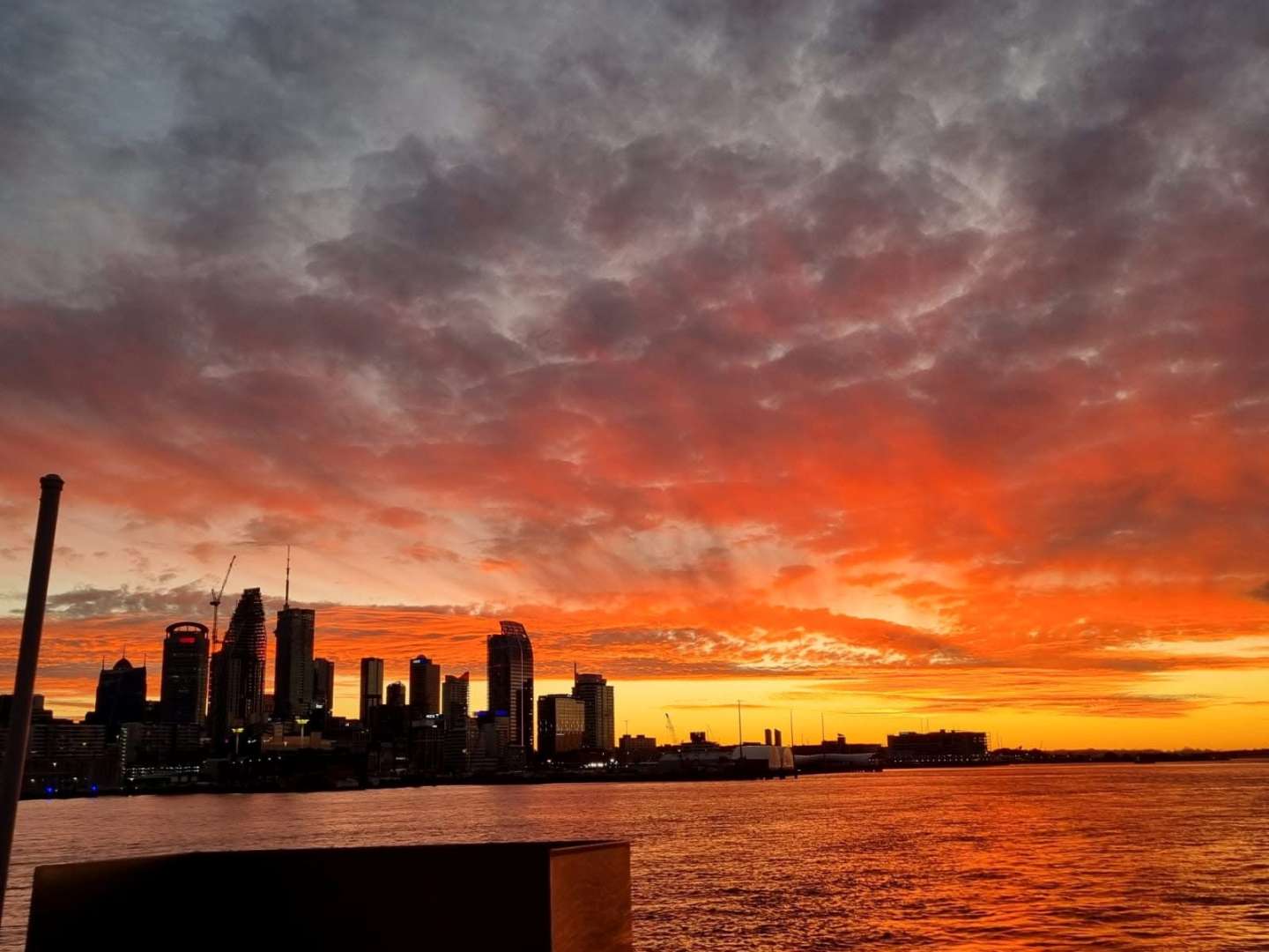 Auckland Skyline