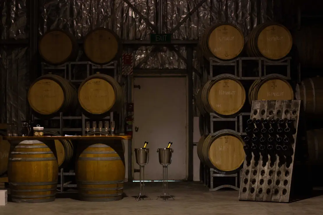 Barrels - Cellar