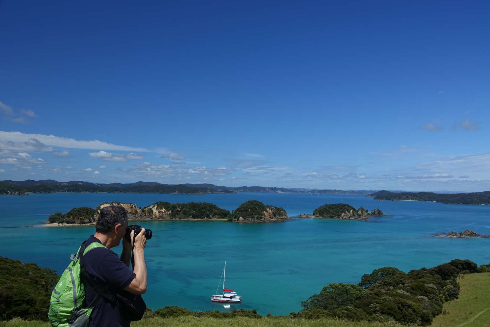 Bay of Islands Island & Wildlife day Cruise