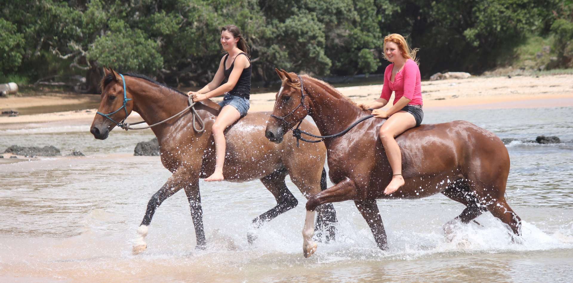 Beach Horse Riding and Trekking Activities at the Beach Bay of Islands New Zealand
