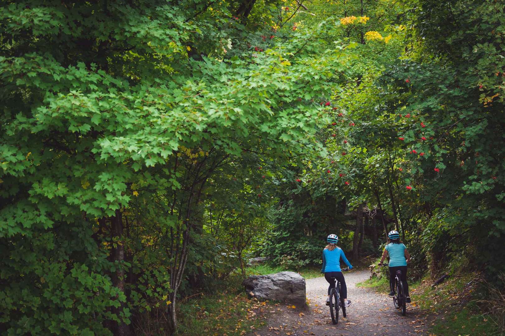 Bike hire. Bike at your leisure along the Gibbston River Trail