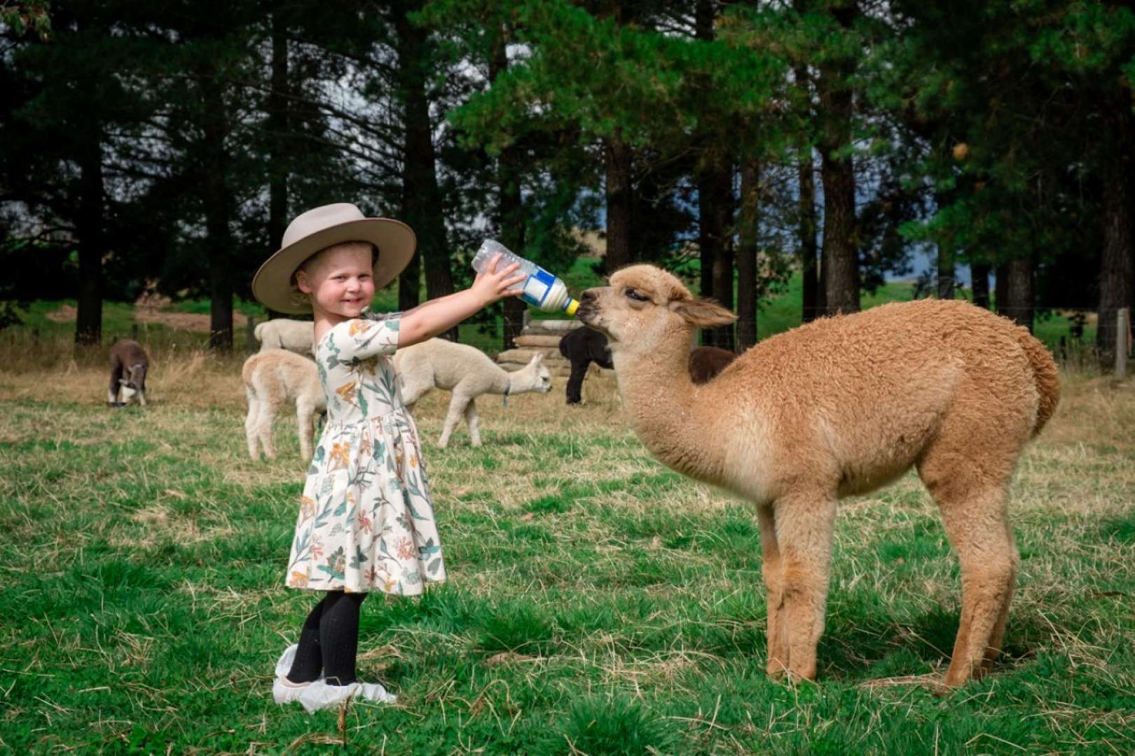 Bottle feeding